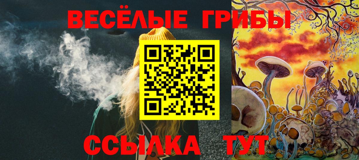 Галлюциногенные грибы Cubensis Кулебаки
