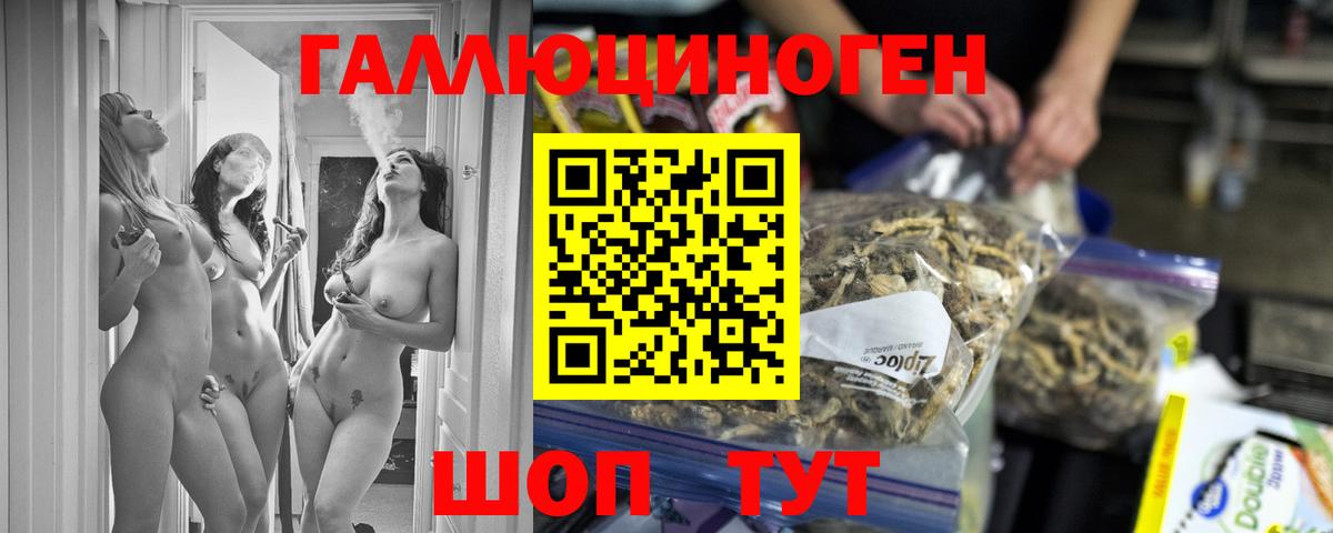 Кулебаки  Псилоцибиновые грибы Cubensis  Псилоцибиновые грибы мицелий  Вход с VPN 